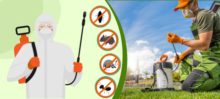 Emergency Pest Control Balwyn 