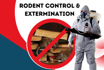 rodent control & extermination service image